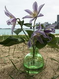 Bud Vase Favors