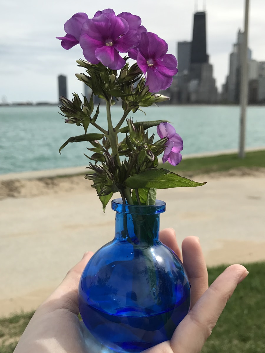 Bud Vase Favors