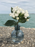 Bud Vase Favors