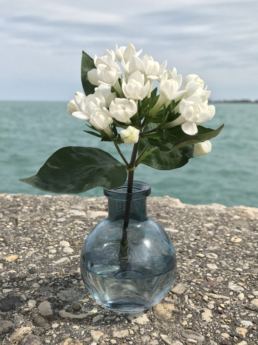 Bud Vase Favors
