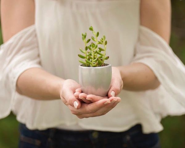 Isn't this little flower pot just the cutest? Available in round and square with different colors and textures. Click link in bio.