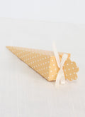 Dotted Favor Cone