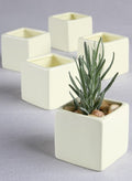 Square Flower Pots