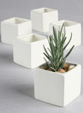 Square Flower Pots