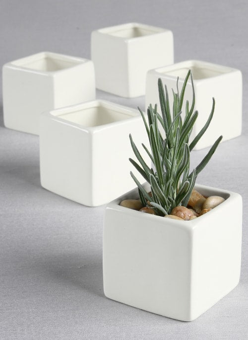 Square Flower Pots