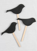 Chalkboard Picks 10pk