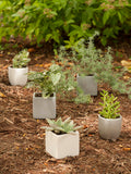 Square Flower Pots