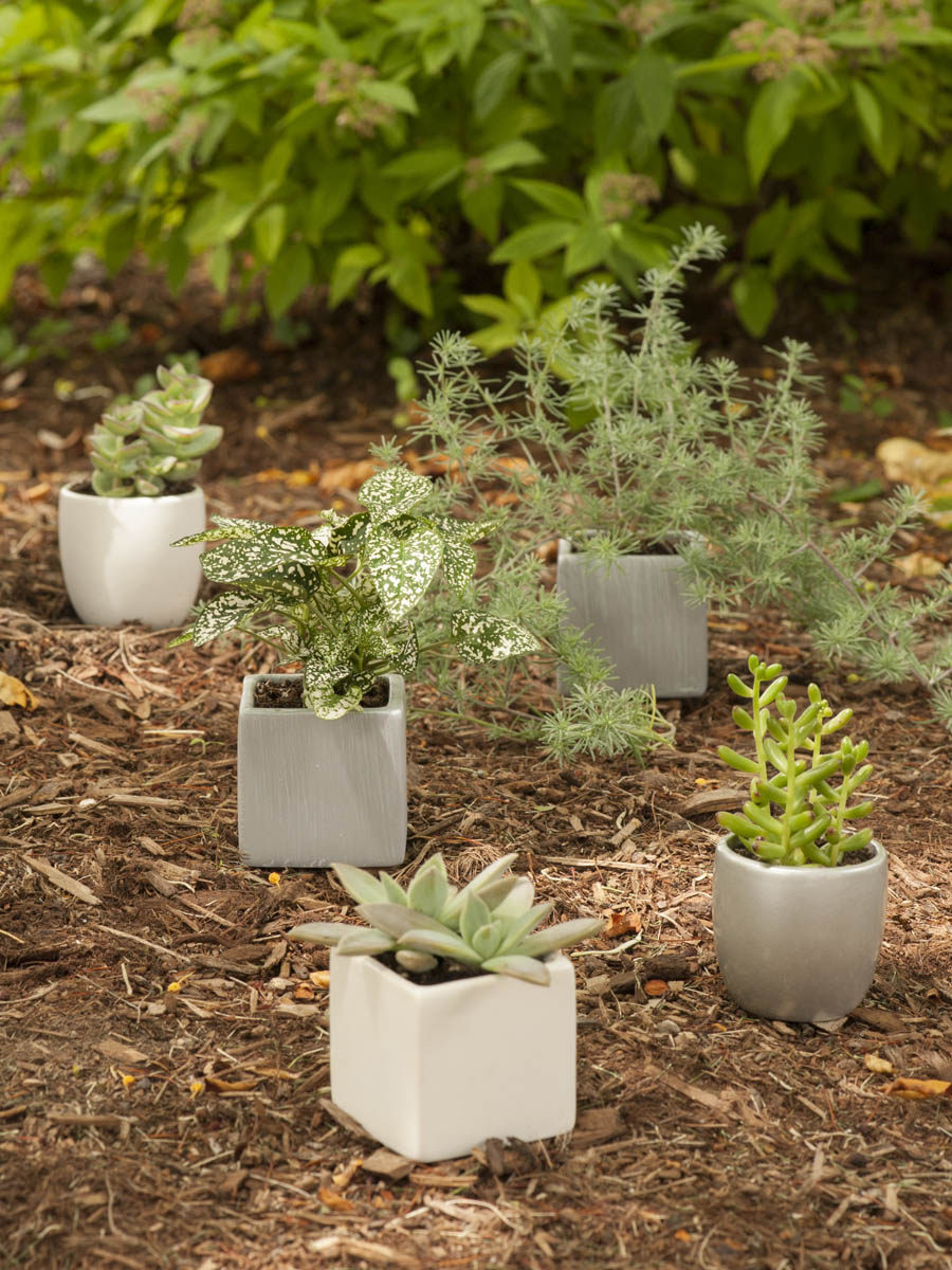 Square Flower Pots